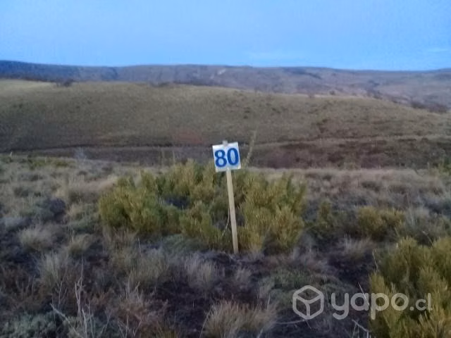 Terreno en praderas de Lonquimay - Imagen 3