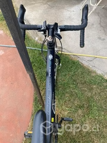 Bianchi corsa