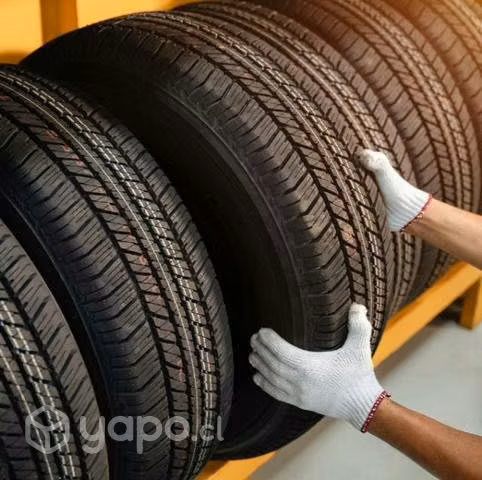 neumáticos con entrega domicilio
