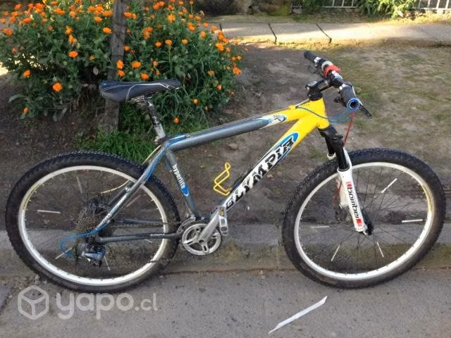 Bicicleta Italiana Olympia
