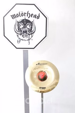 China 10 dragon arborea // Lucy Rock