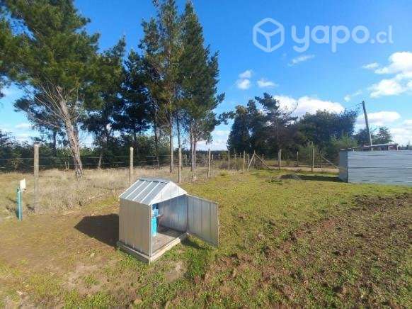 PARCELA 5.000 m2 EN SAN ALBERTO, PARRAL - Imagen 6