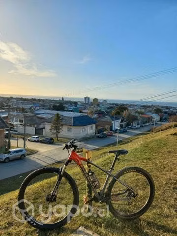Bicicleta Orion 6