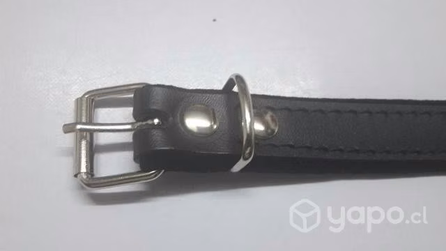 Correas para acordeón - Imagen 4