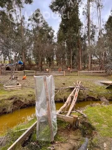 Parcela con casa, Litueche, VI región - Imagen 19