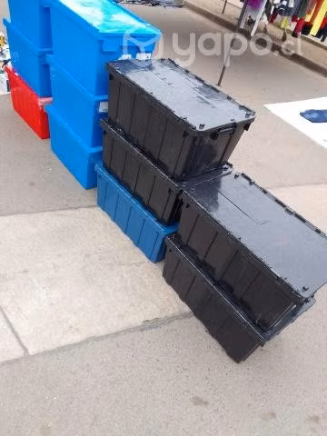Cajas organisadora