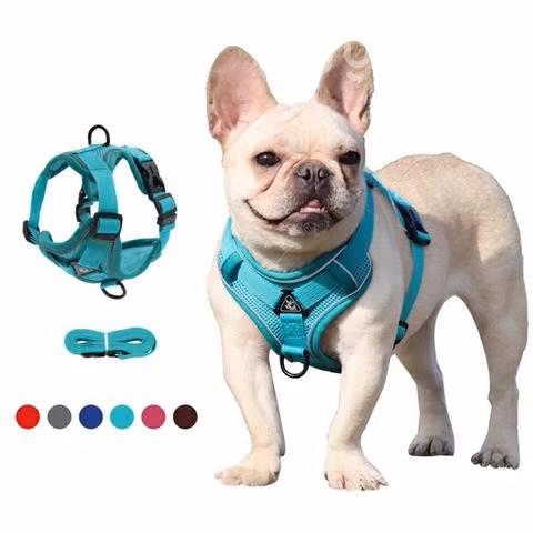 Arnés anti tirones 7.7kg-12.5kg