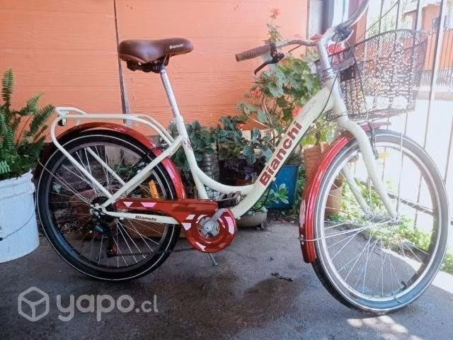 Celular y bicicleta mujer
