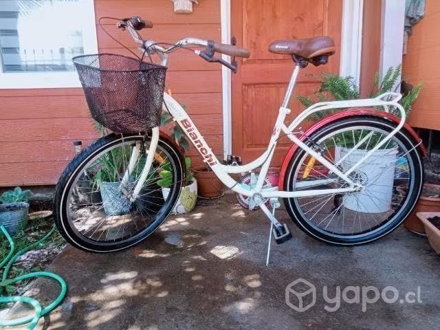 Celular y bicicleta mujer