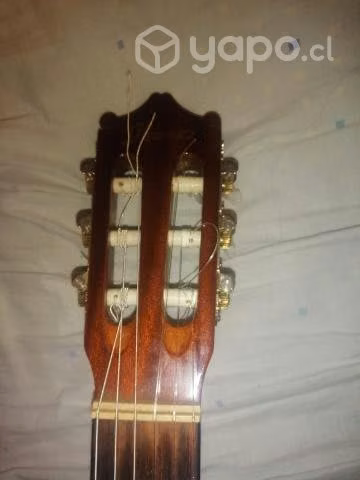 Guitarra acústica
