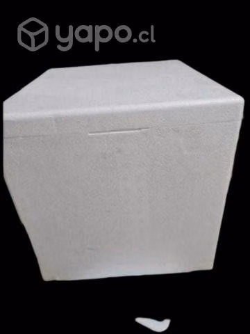 Cajas De Plumavid 39 Litros Cooler