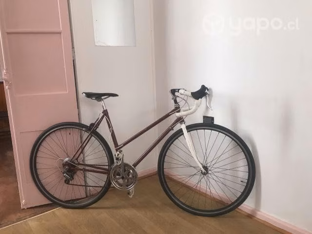 Bicicleta modela pistera