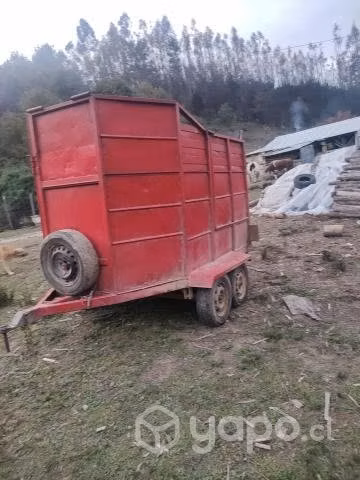 Carro caballos