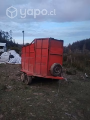 Carro caballos - Imagen 3