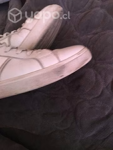 Zapatillas