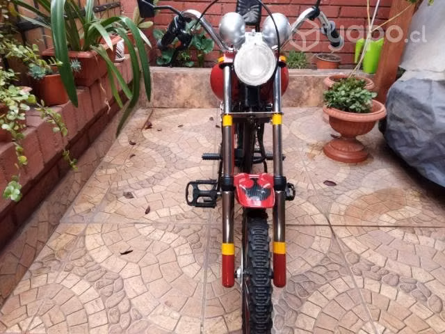 Bici tipo moto para niño (replica Harley Davidson)