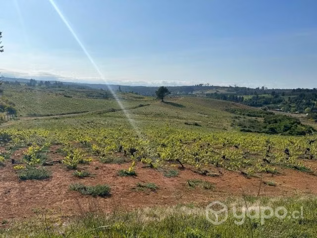 Parcelas quilaco rol propio 5000m2