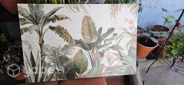 cuadro plantas