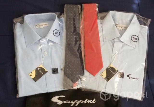 2 Camisas Mas 2 Corbatas Scapinni