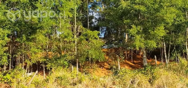 Terreno a min de lago ranco