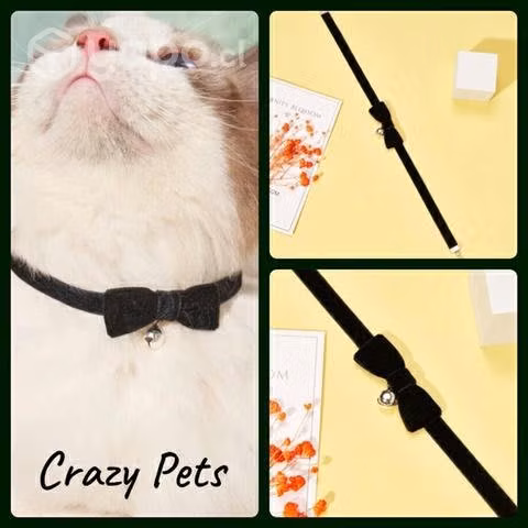 Collares para gatitos