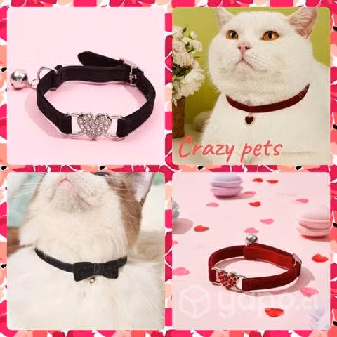Collares para gatitos