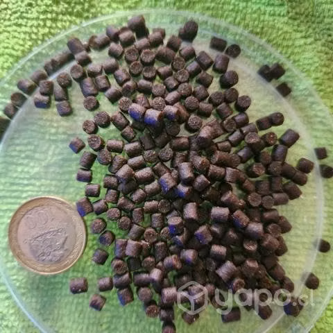 Alimento para peces