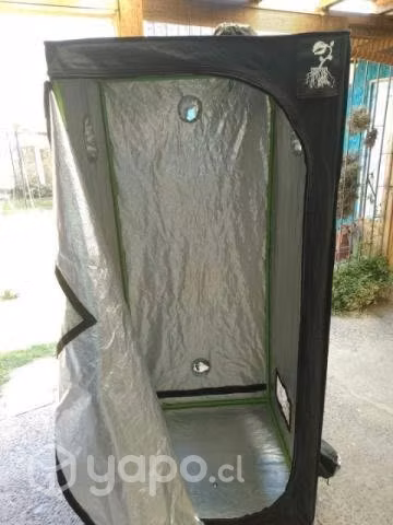 Carpa indor