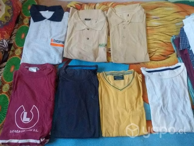 Poleras manga larga y corta