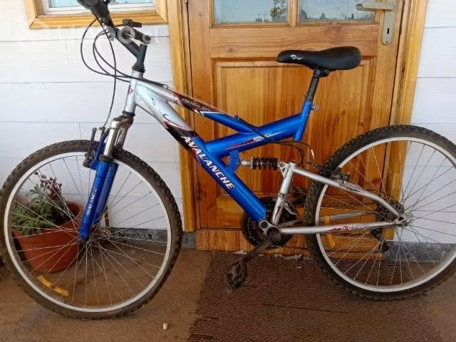 bicicleta