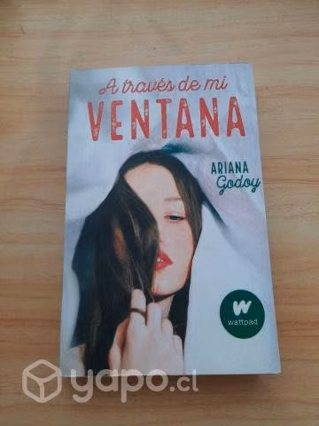 Libro Usado A Través De Mi Ventana