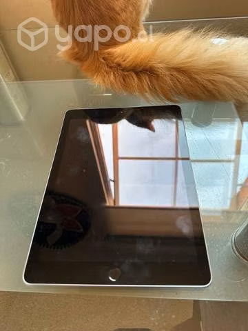 IPad casi nuevo 110.000