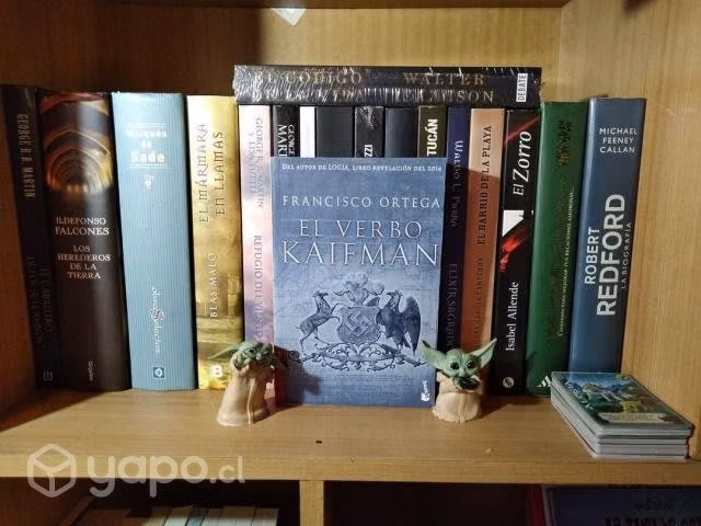 «EL VERBO KAIFMAN» de Francisco Ortega