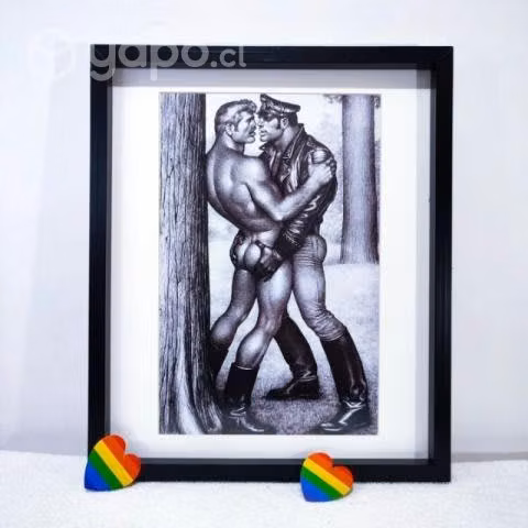 Colección cuadros Tom of Finland - Imagen 3
