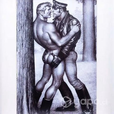 Colección cuadros Tom of Finland - Imagen 2