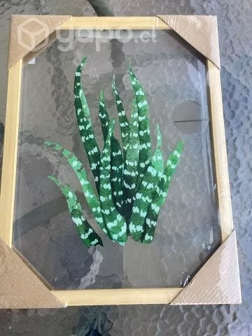 Cuadros nuevos