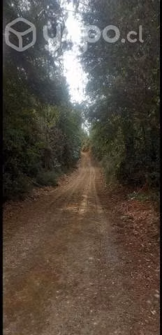 Parcela