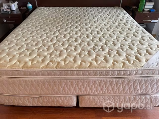 Boxspring Rosen ( base + colchón)