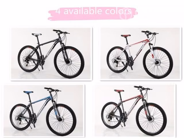 Bicicleta Aro 29 24 Spedd