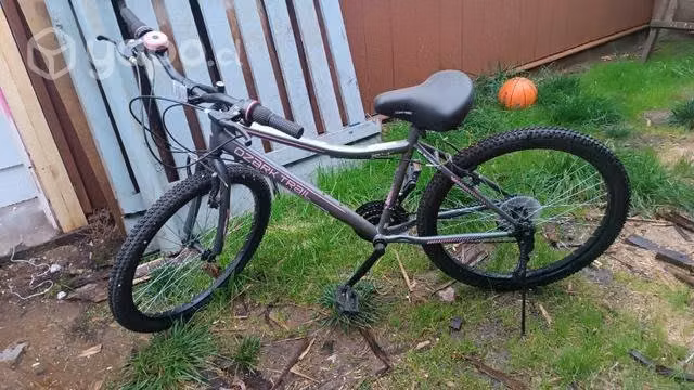 Biciclets aro 24
