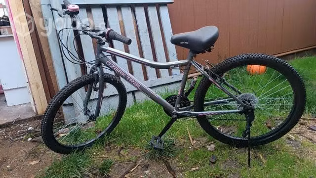 Biciclets aro 24