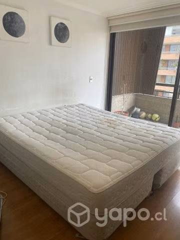 Cama KING CIC