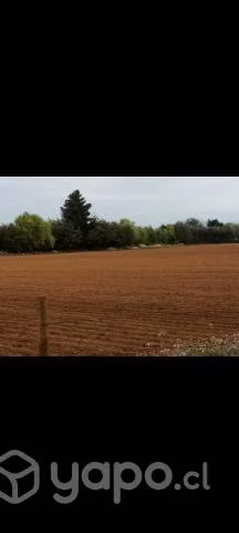 Parcela