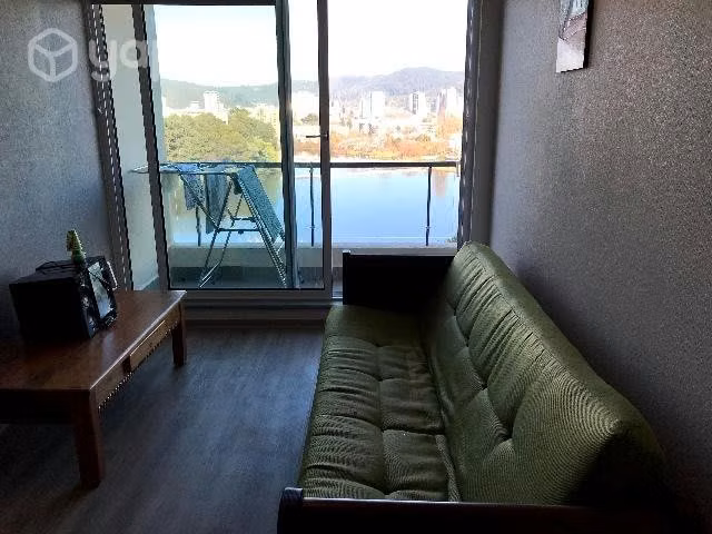 Departamento Concepción