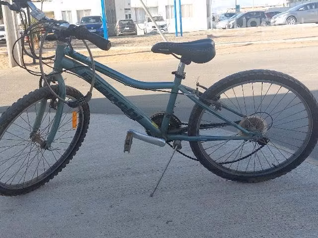 Bicicleta por no uso