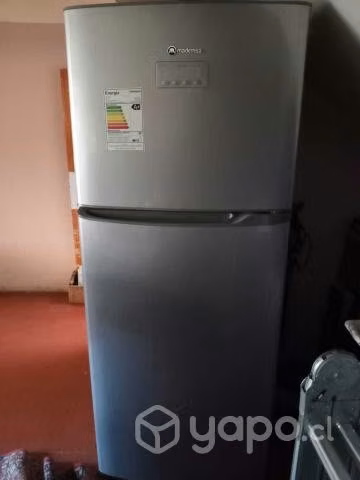 Mademsa altus 971