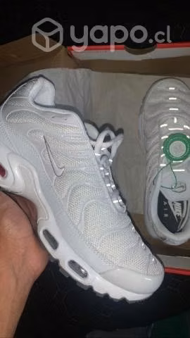 Zapatillas Air max Plus