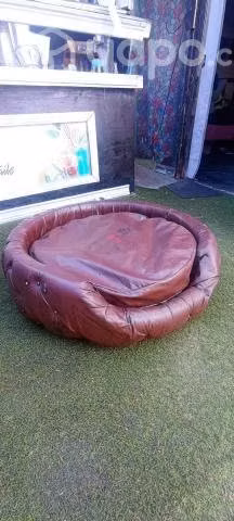Cama para perro