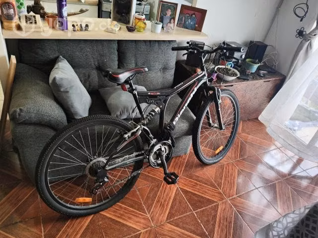 Bicicleta bianchi dsx pro