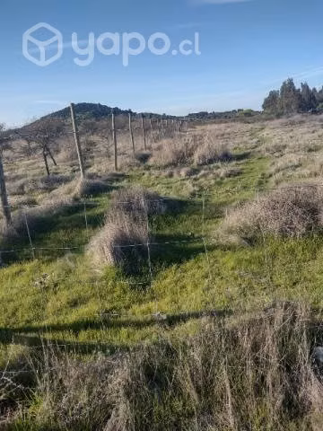 5.000 mts cuadrados planos